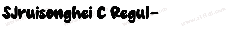 SJruisonghei C Regul字体转换 SJruisonghei C Regul字体转换
